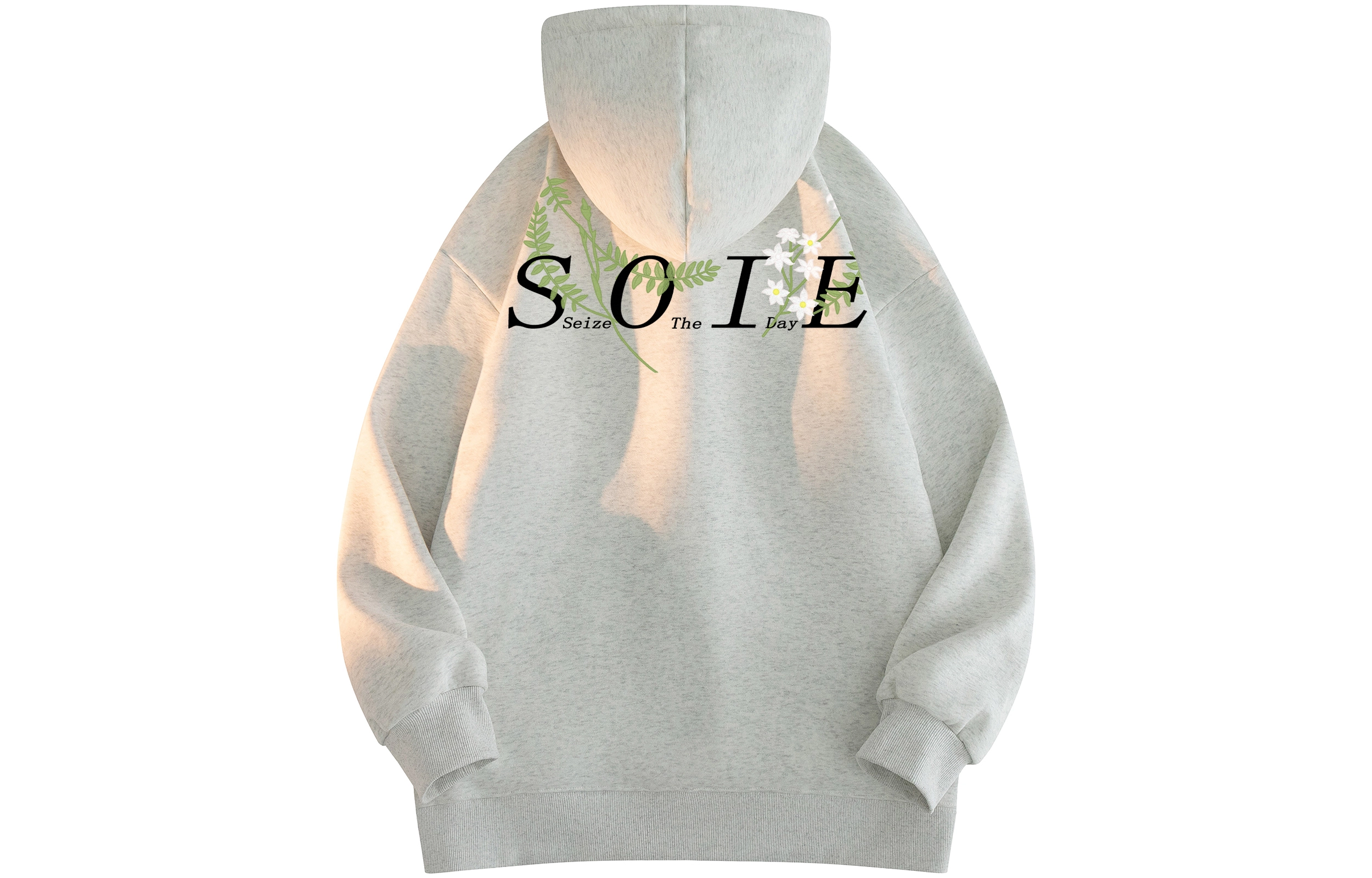 SOIEPLUS