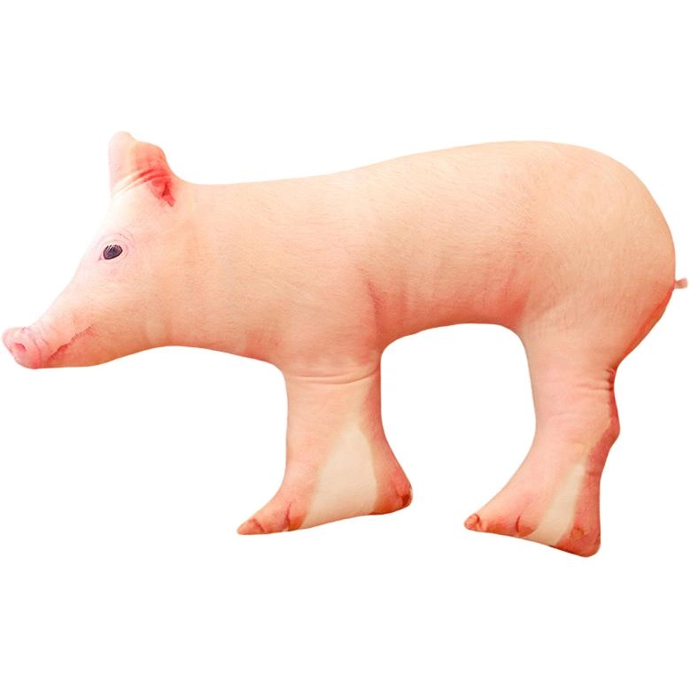 3d 25cm30cm