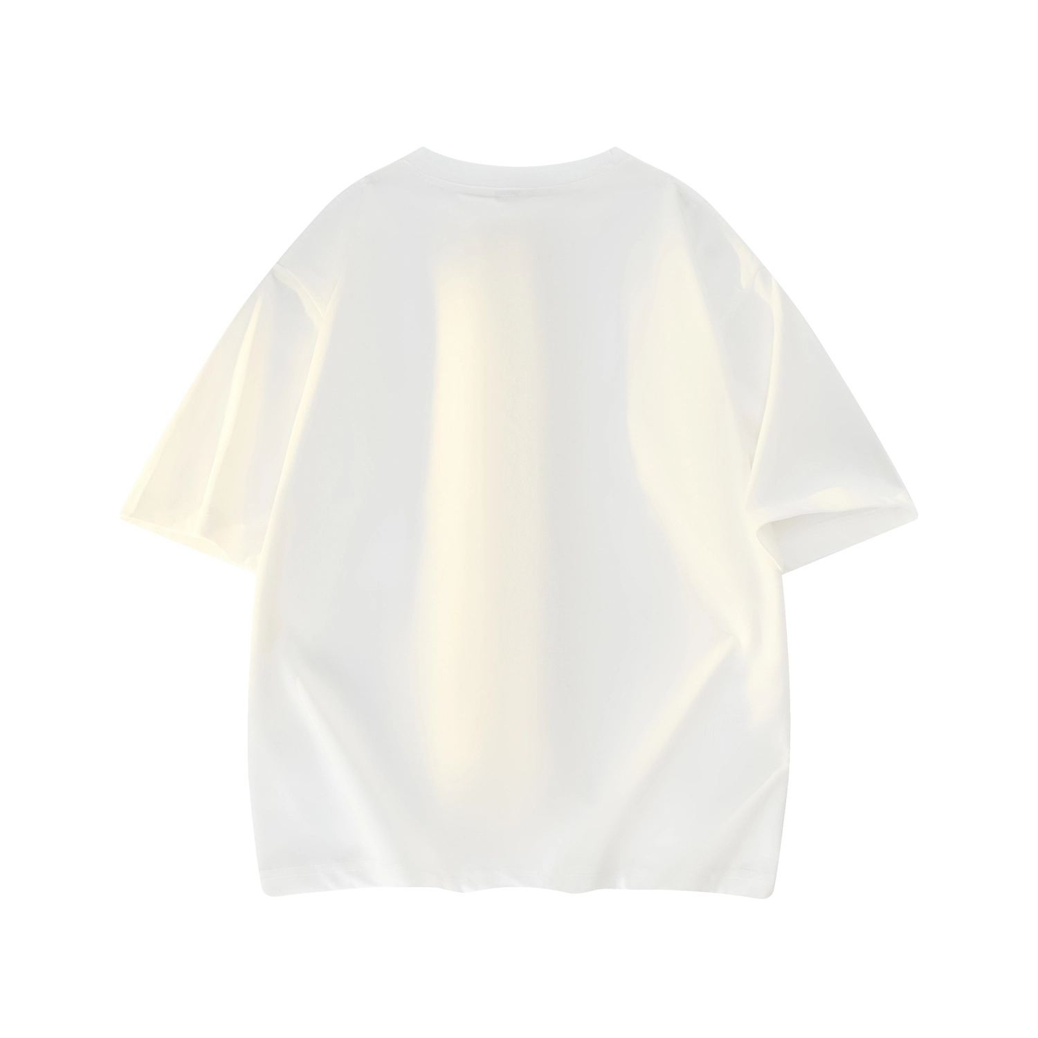 GF T