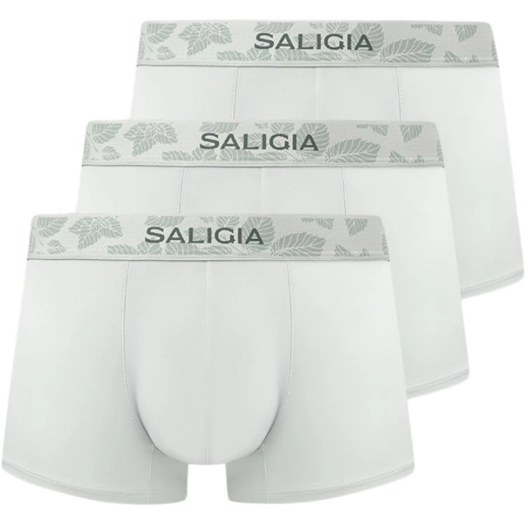 SALIGIA 3