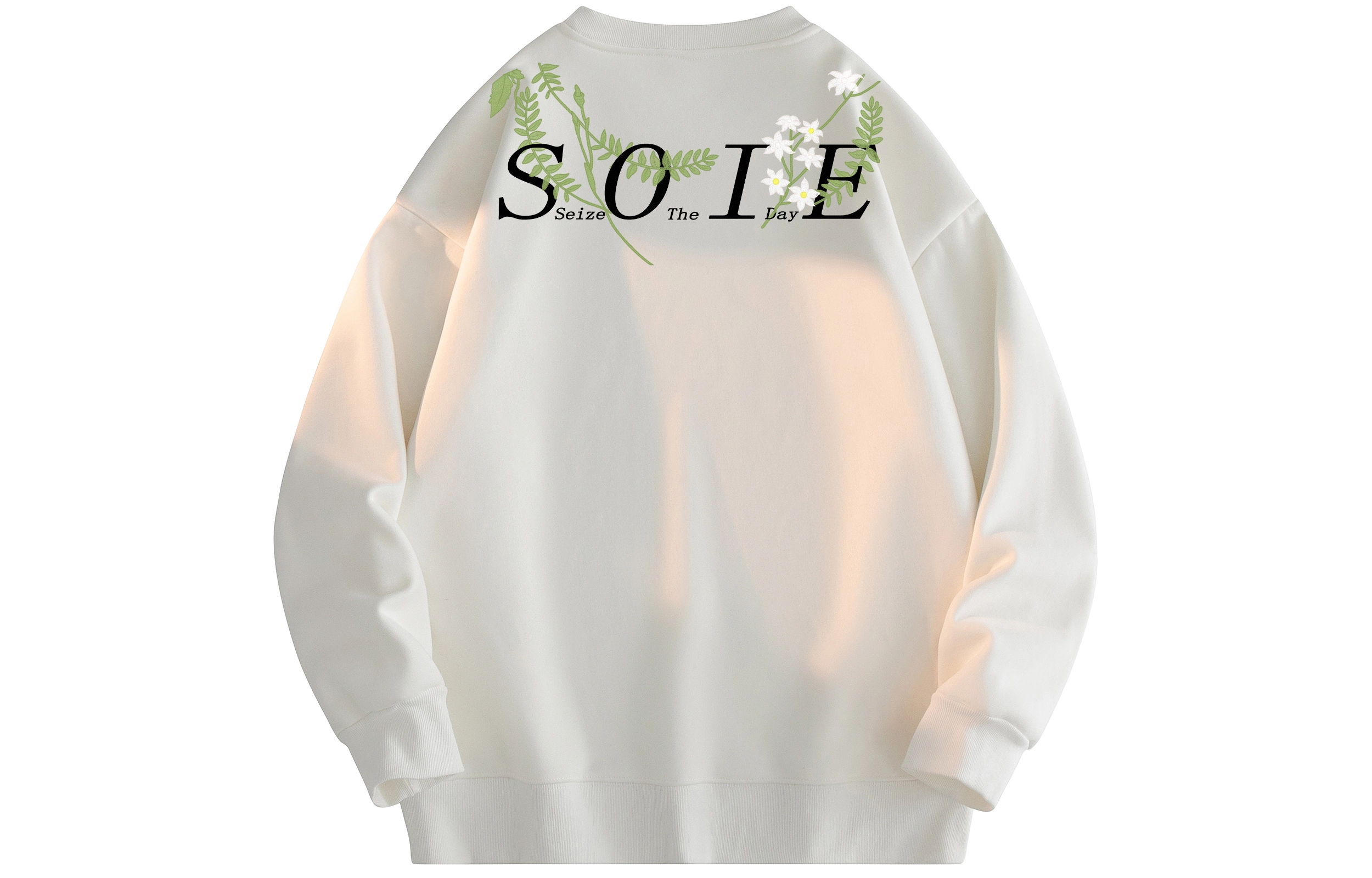 SOIEPLUS