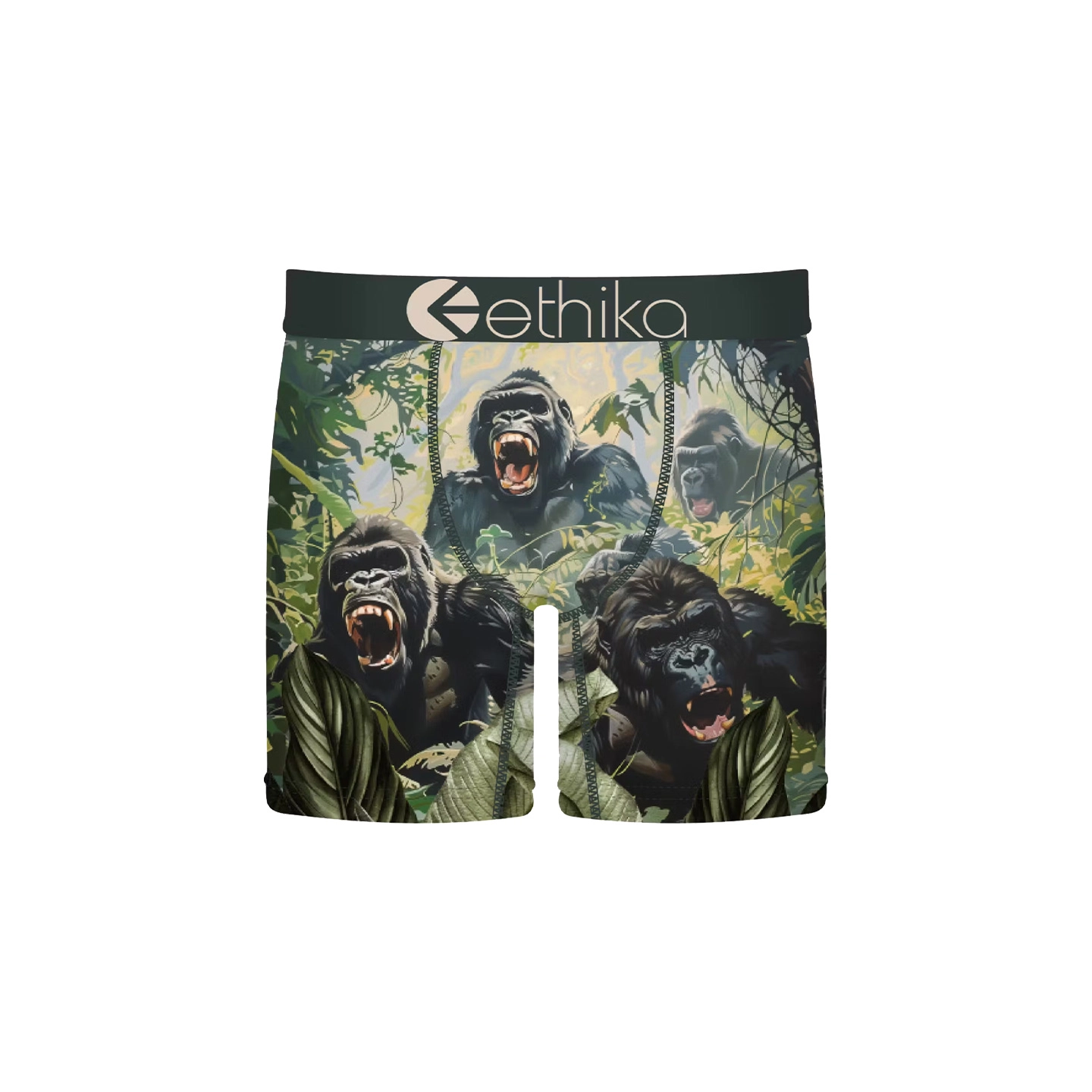 ETHIKA 1