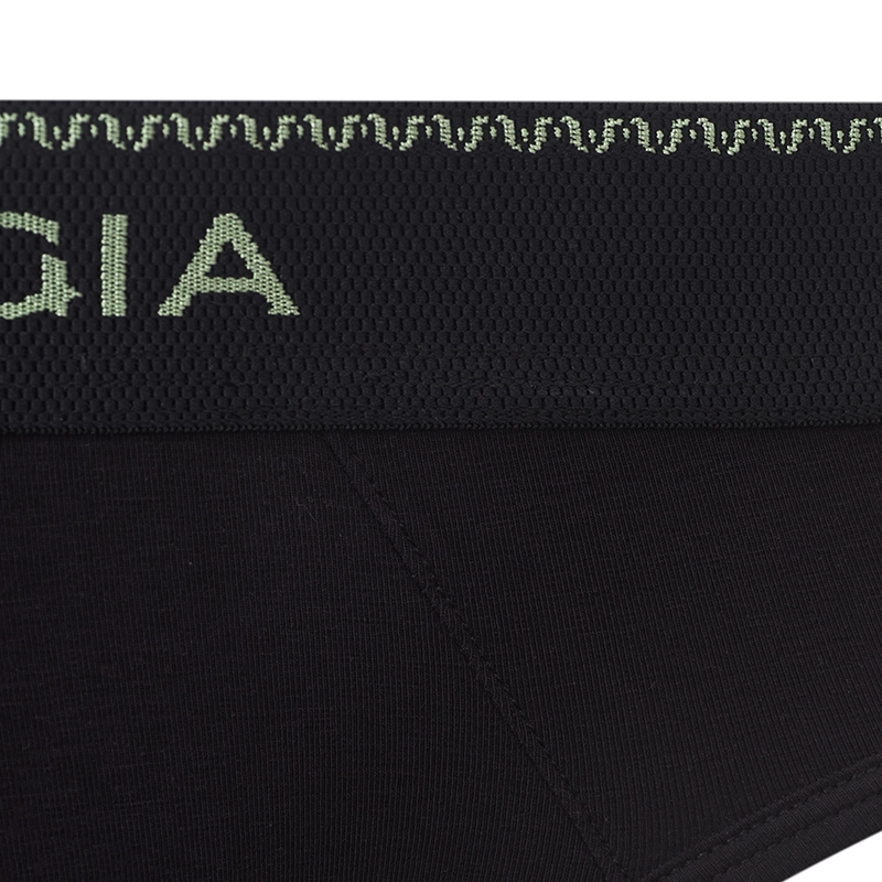 SALIGIA 3