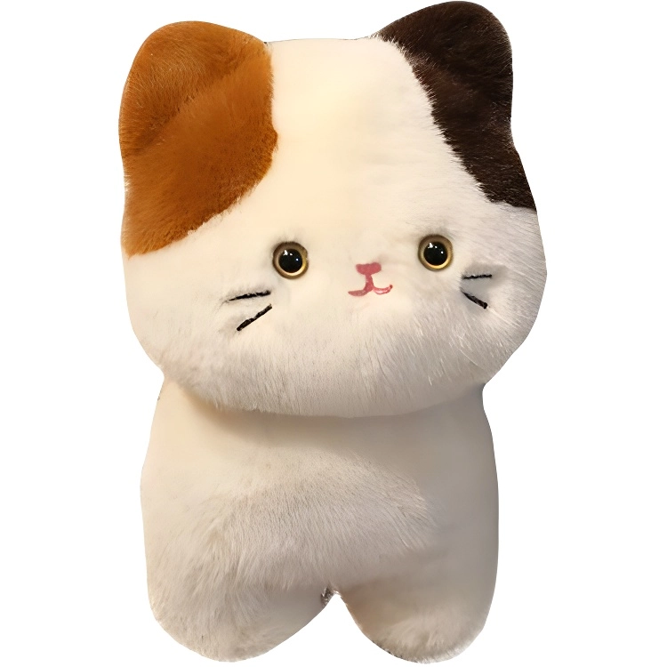 20cm30cm