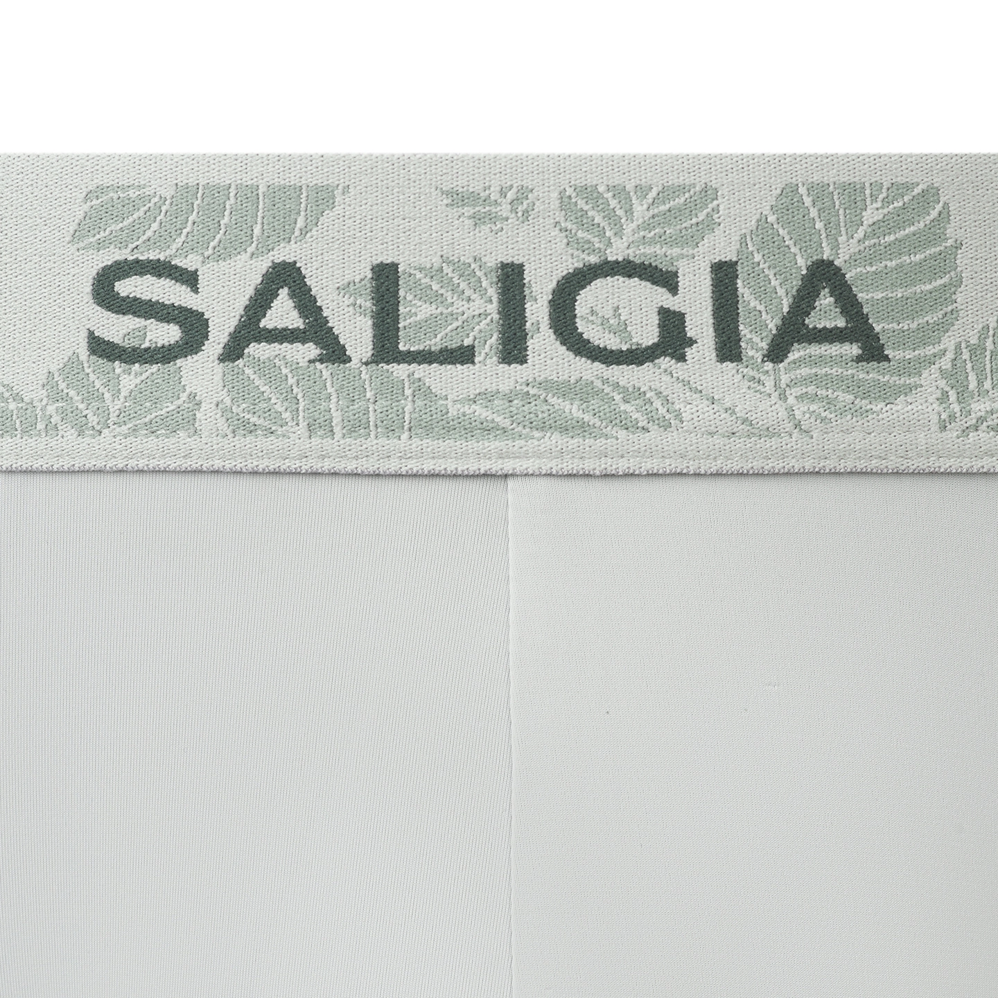 SALIGIA 3