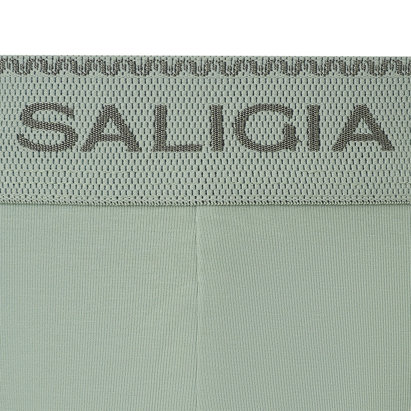SALIGIA 3