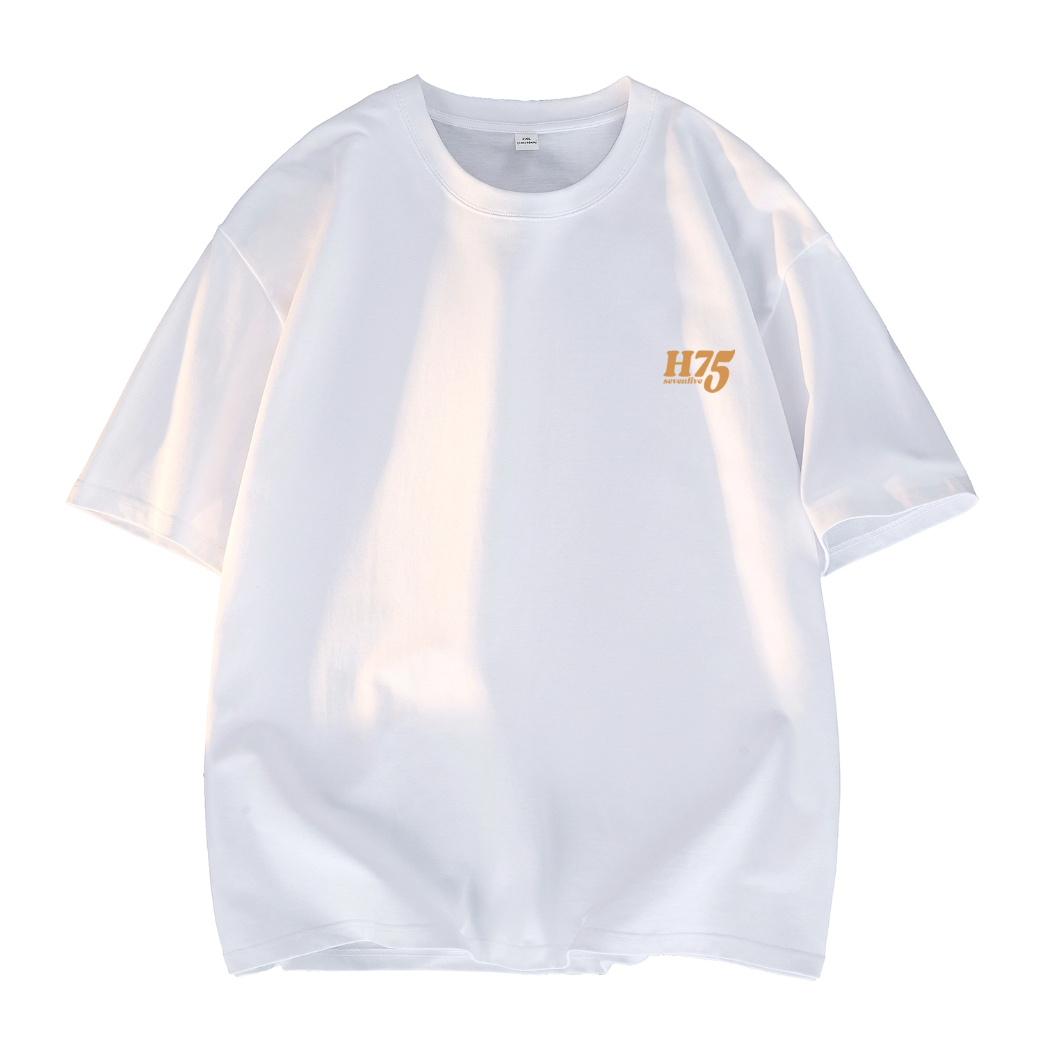 H-75 LOGOT