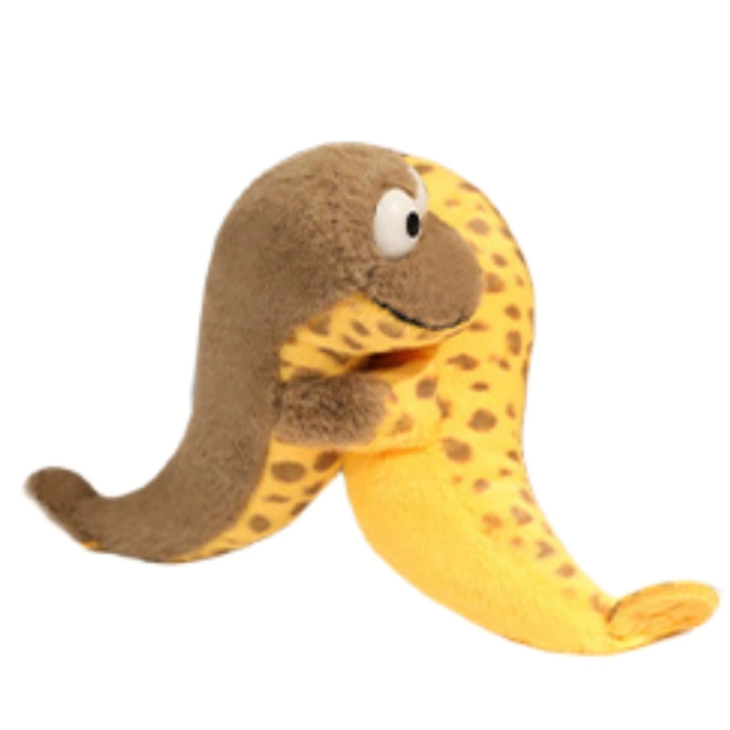 20cm