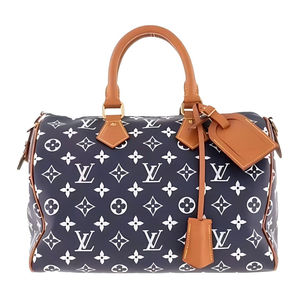 LOUIS VUITTON x Nigo Speedy 25