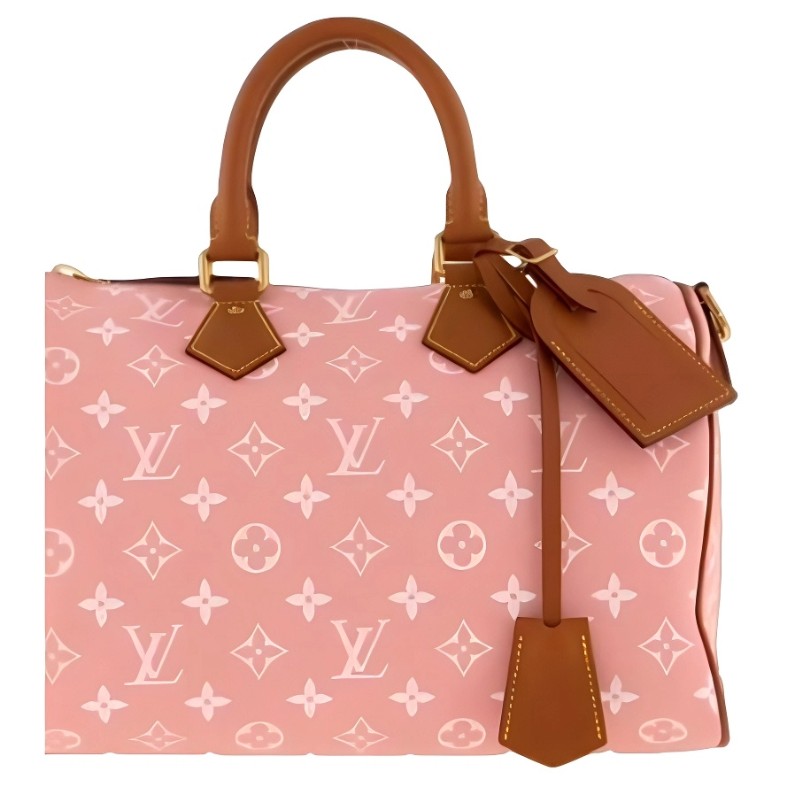 LOUIS VUITTON x Nigo Speedy 25