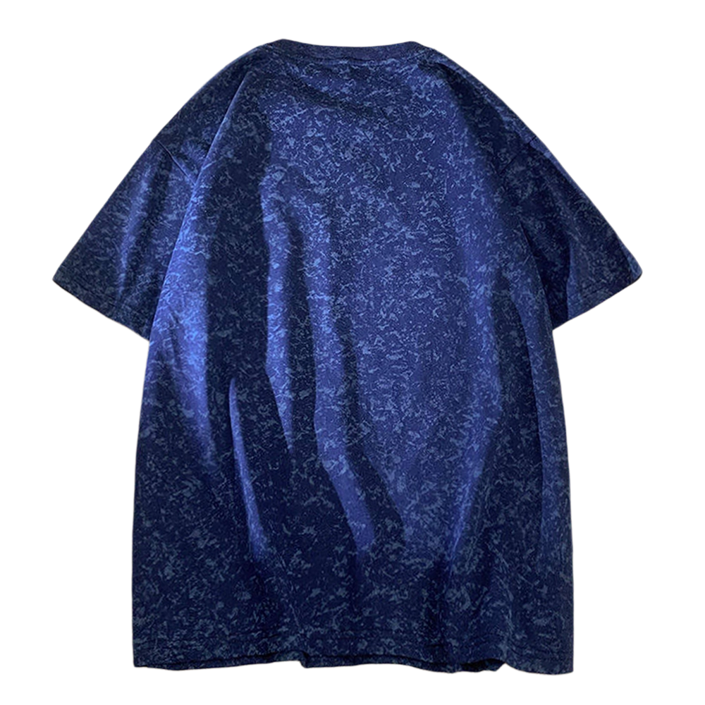 PINSCIO ZENIE T