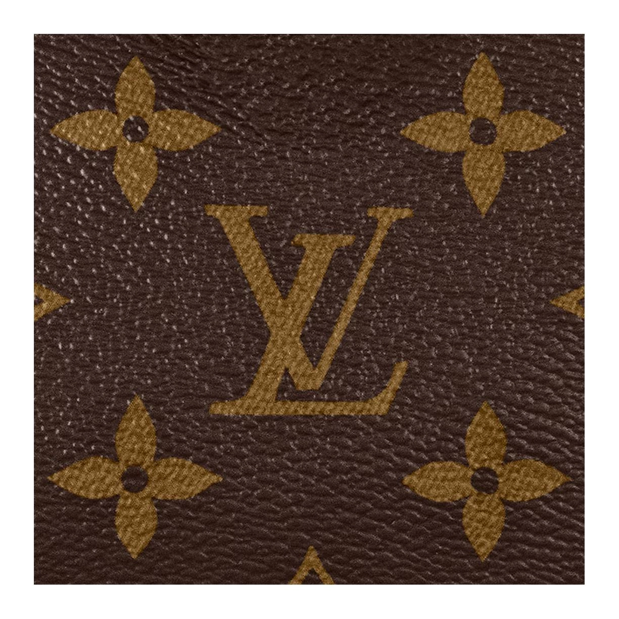 LOUIS VUITTON Speedy Nano