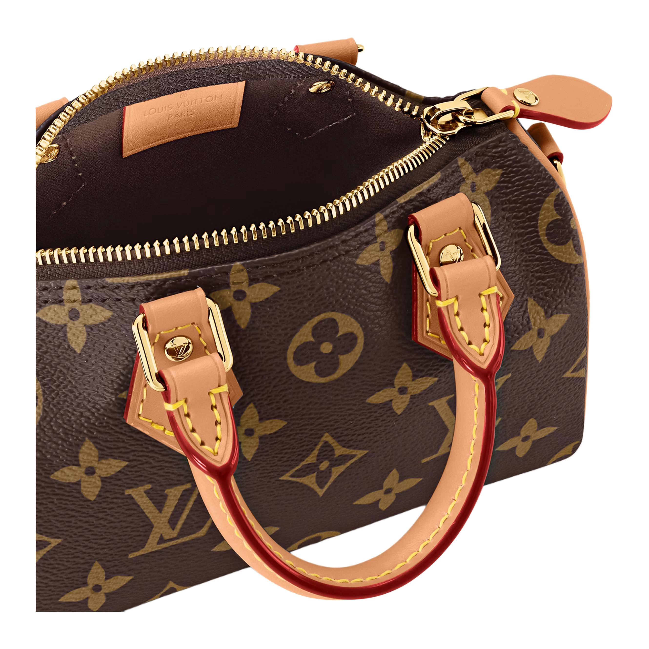 LOUIS VUITTON Speedy Nano