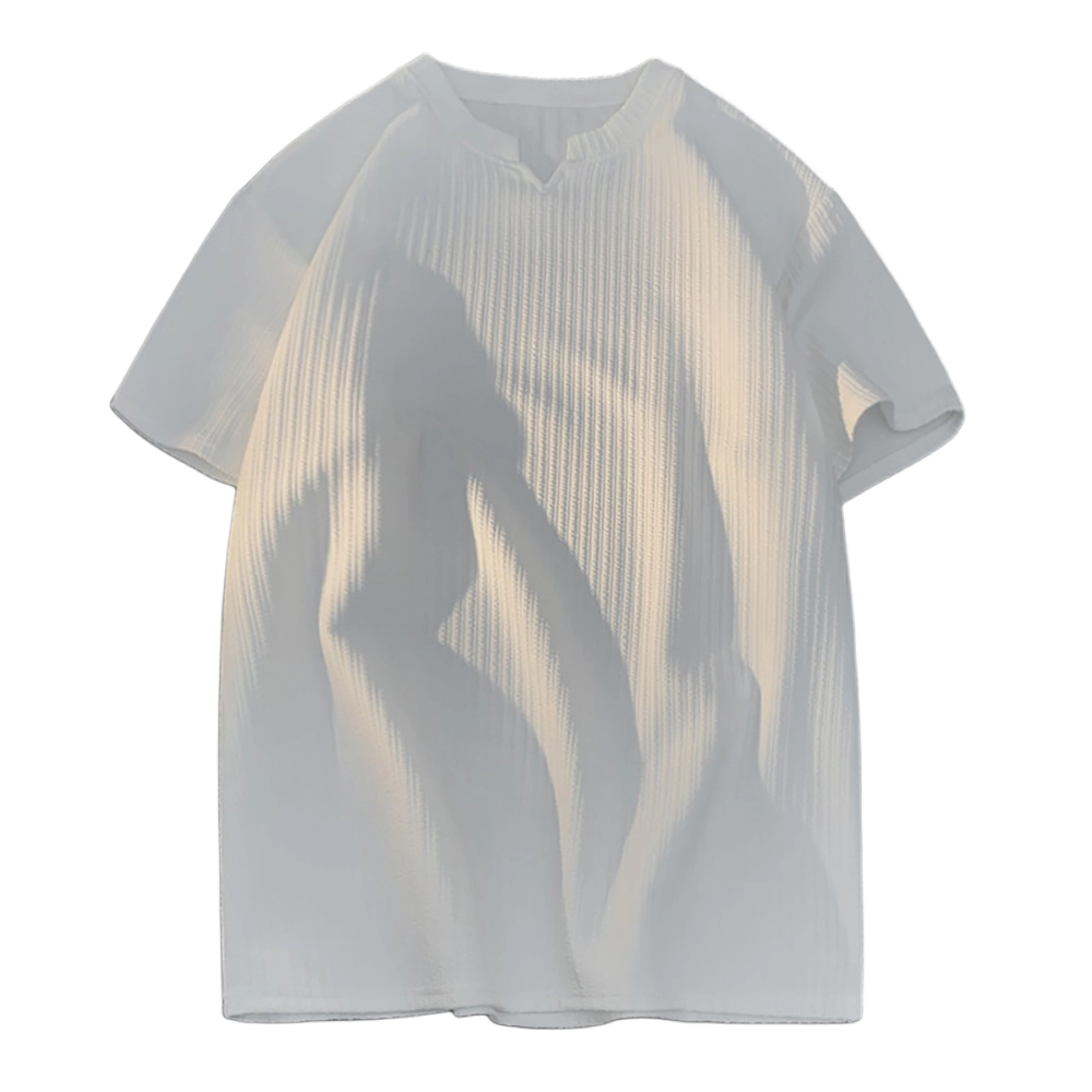 PINSCIO ZENIE T