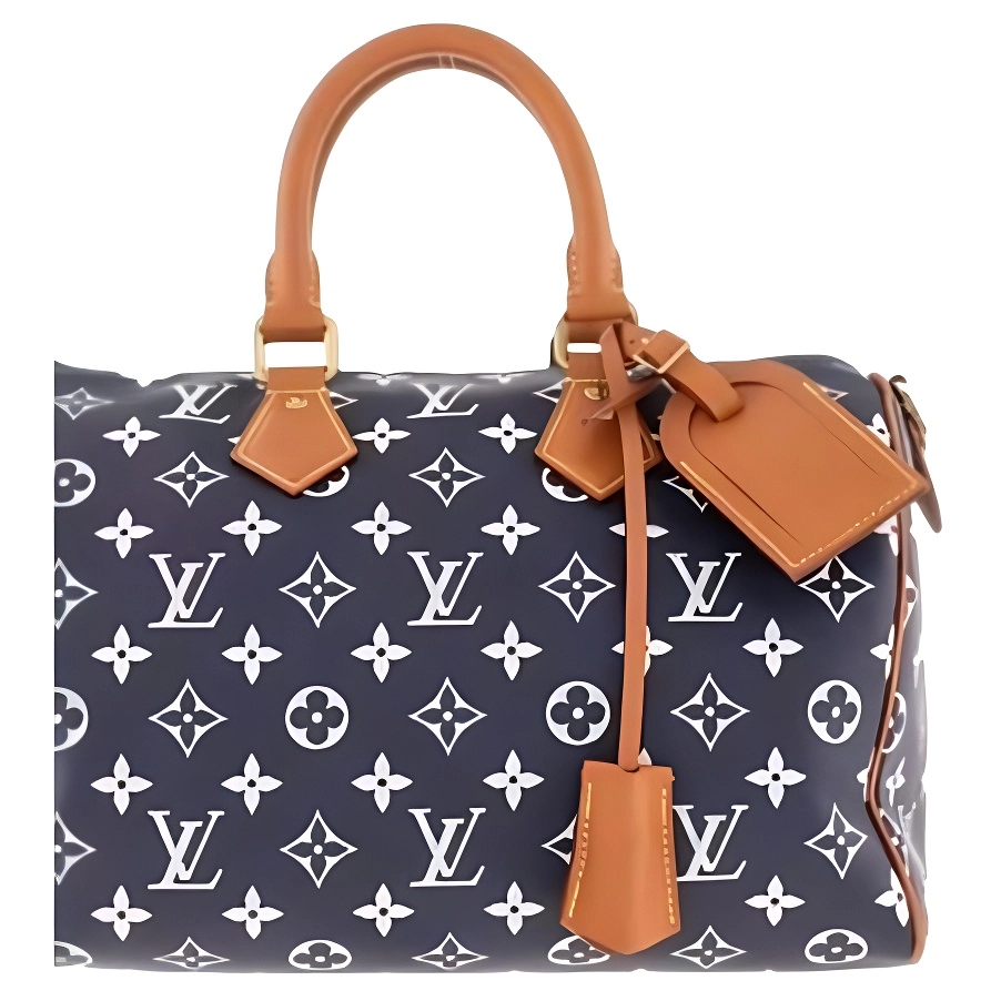 LOUIS VUITTON x Nigo Speedy 25