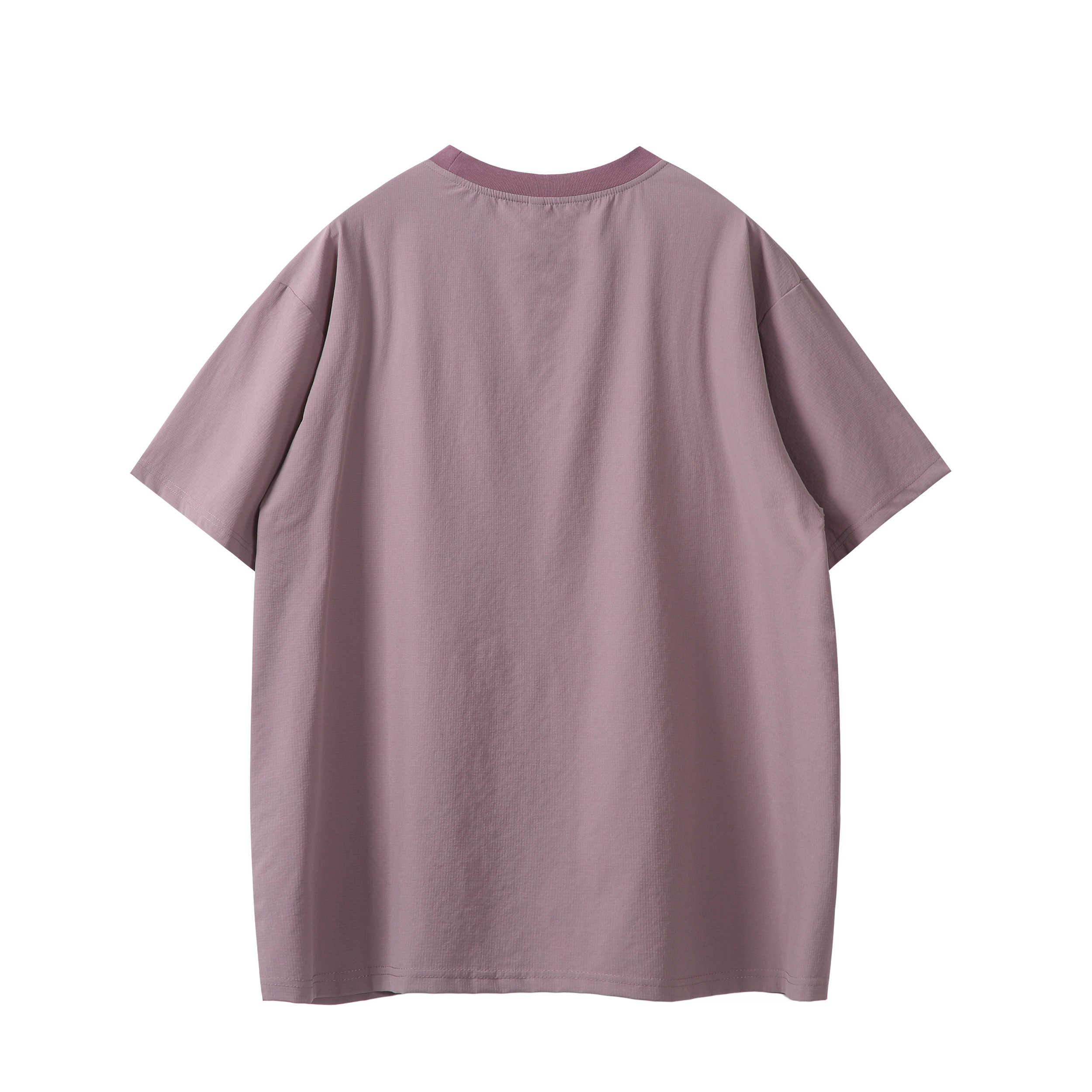 PINSCIO ZENIE T