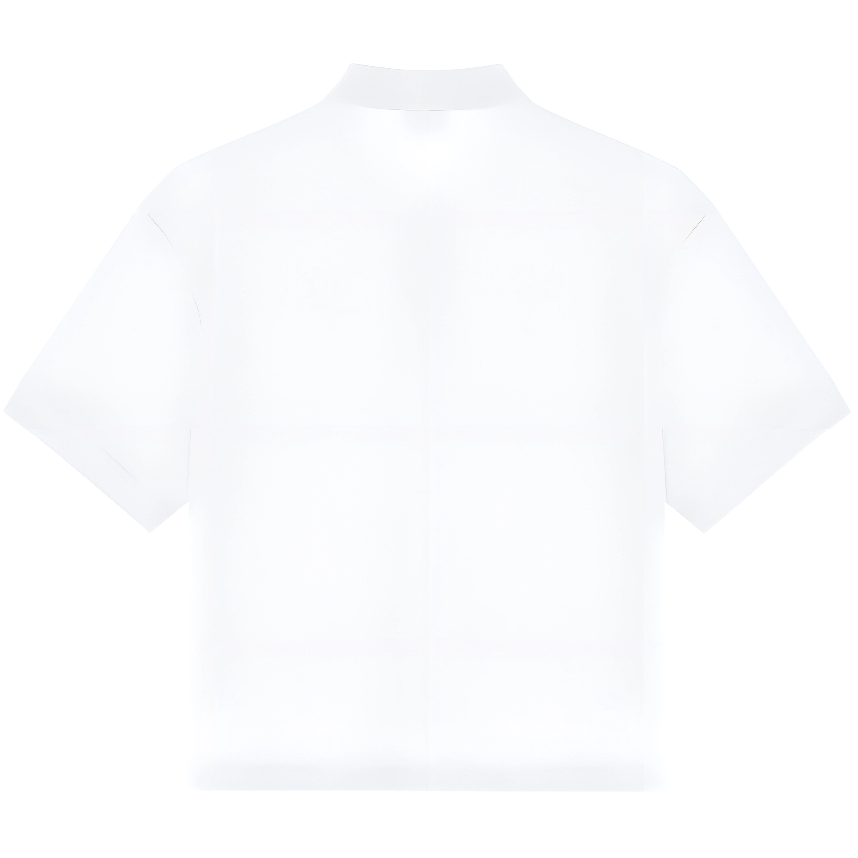 PELLIOT POLO T