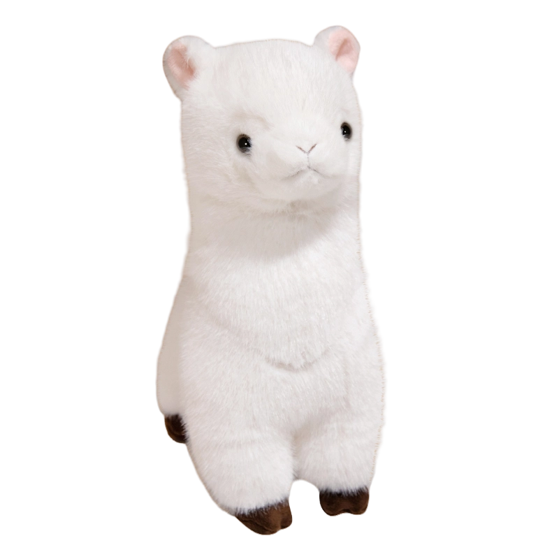 30cm40cm