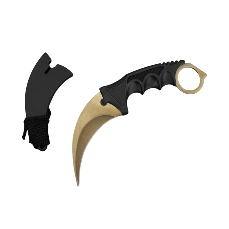 cs2