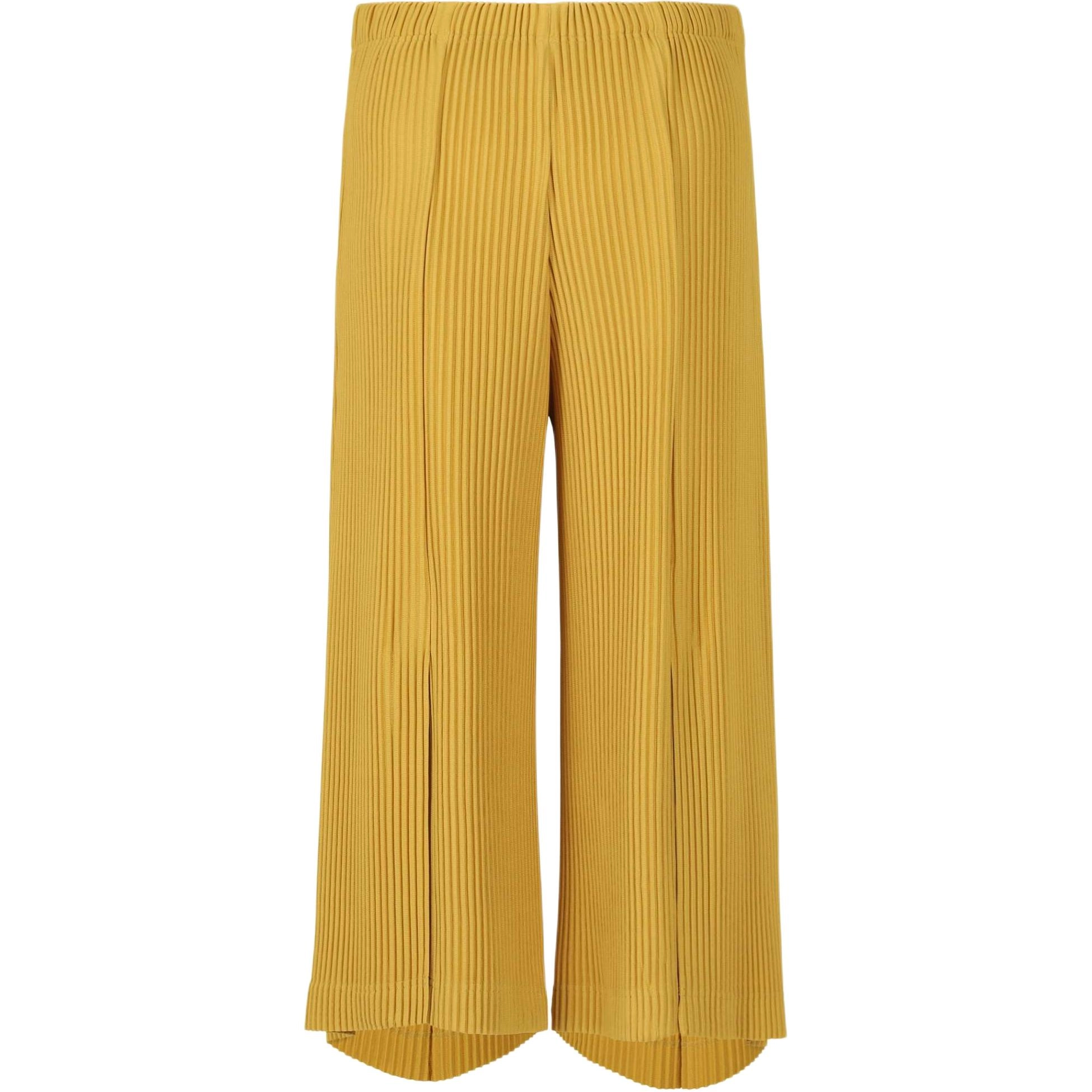 Homme Pliss Issey Miyake