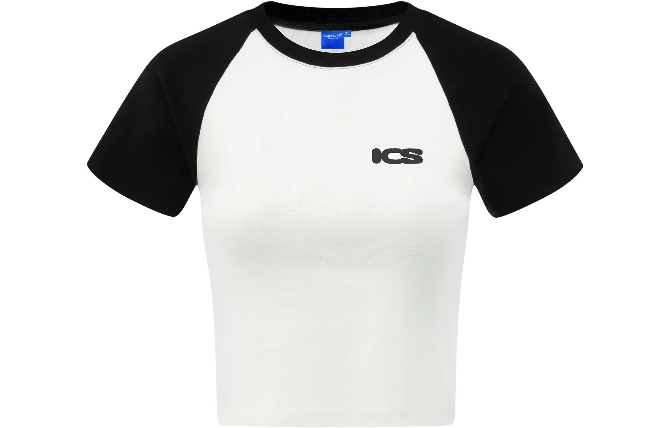 ICONS Lab SS23 icsT