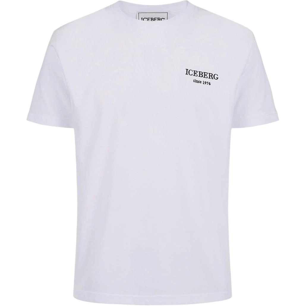 iceberg T