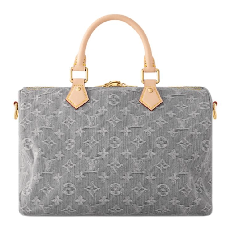 LOUIS VUITTON Speedy Soft 30