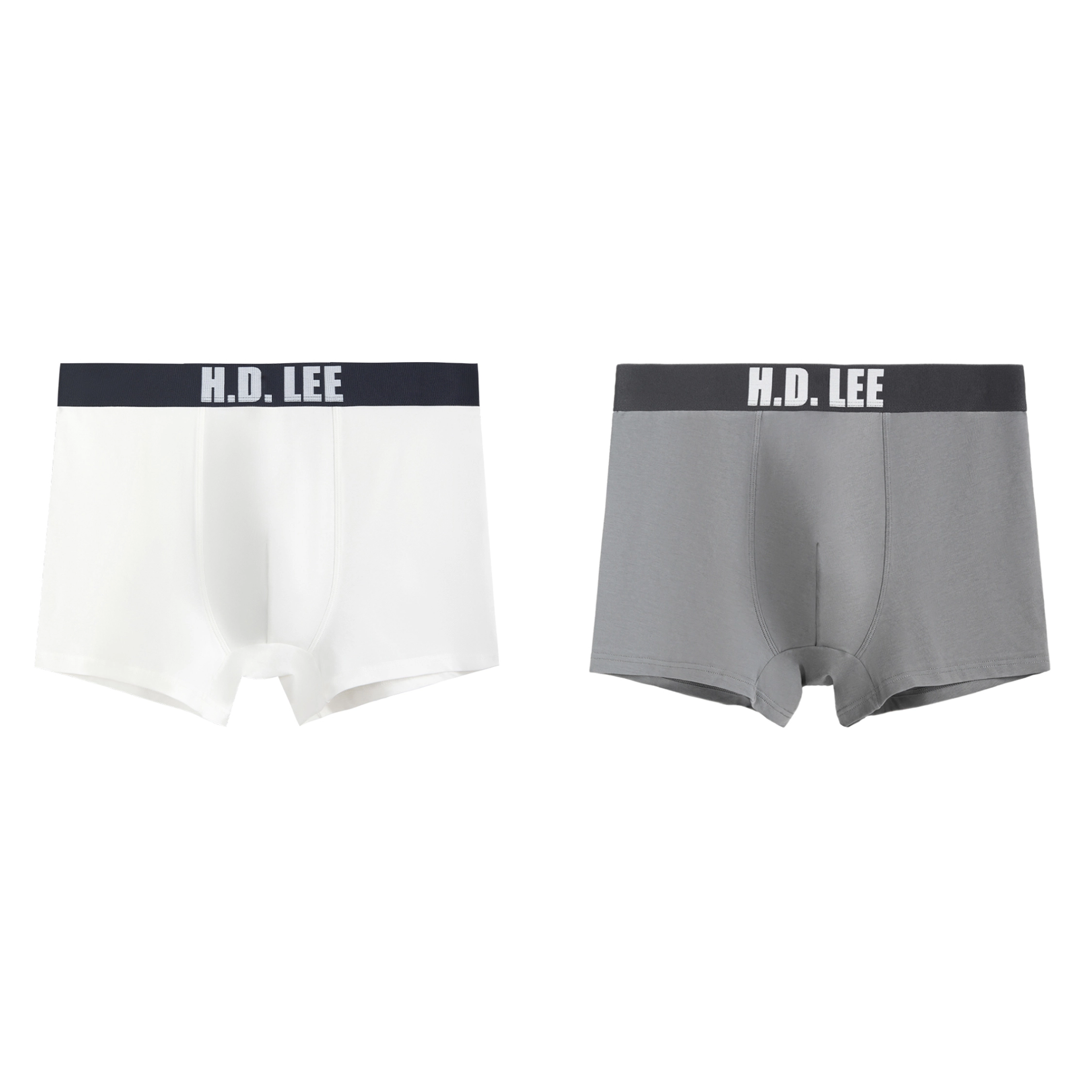 Lee 2