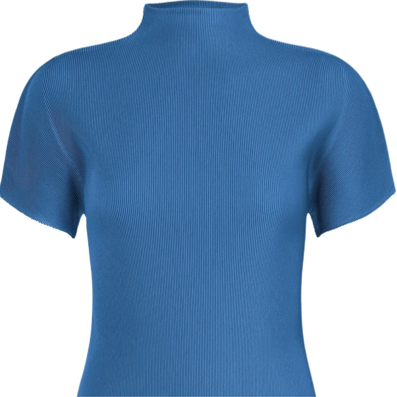 PLEATS PLEASE ISSEY MIYAKE T