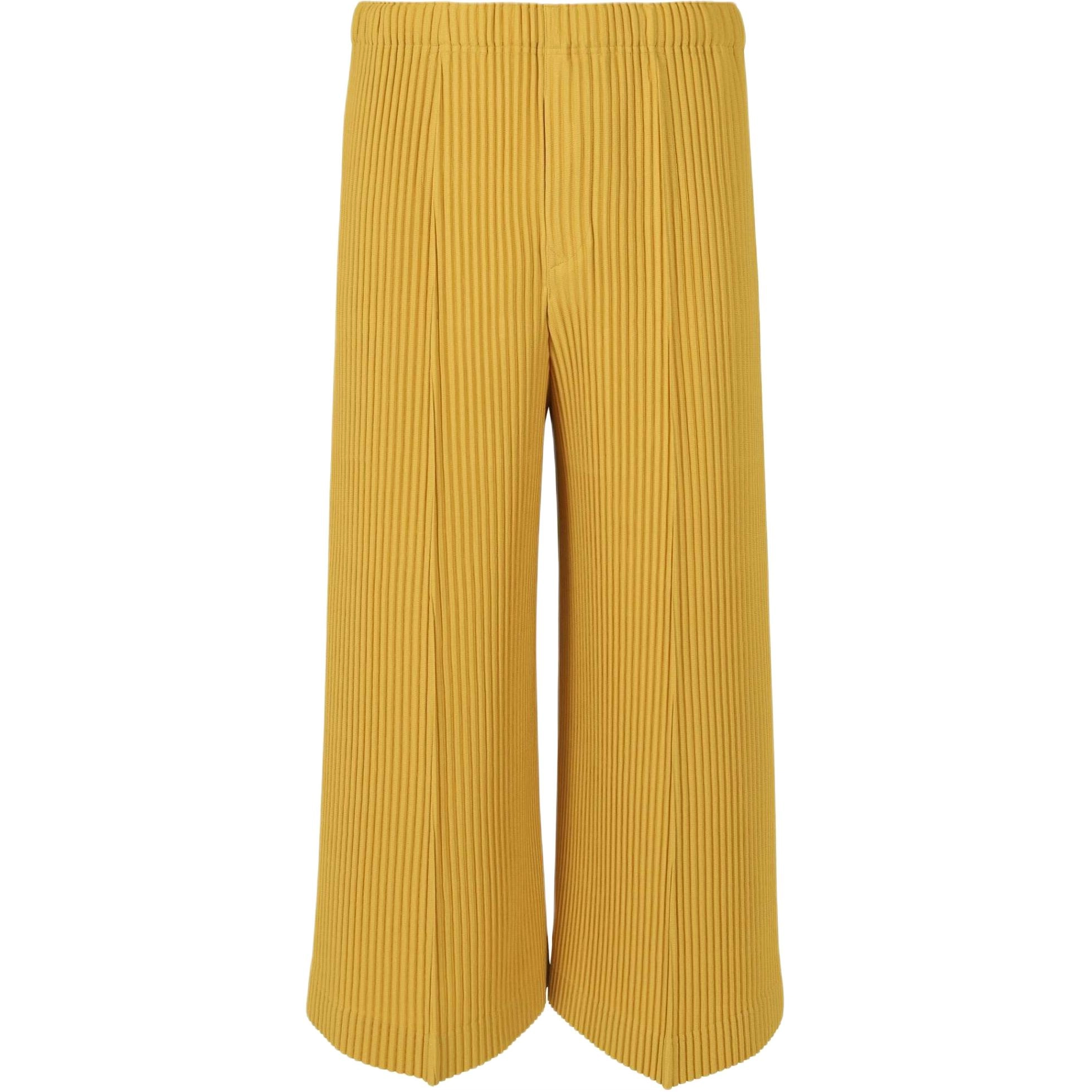 Homme Pliss Issey Miyake