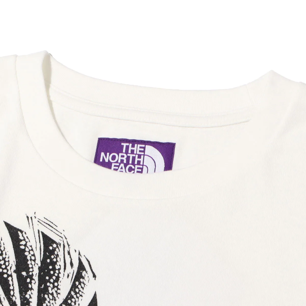 THE NORTH FACE PURPLE LABEL T