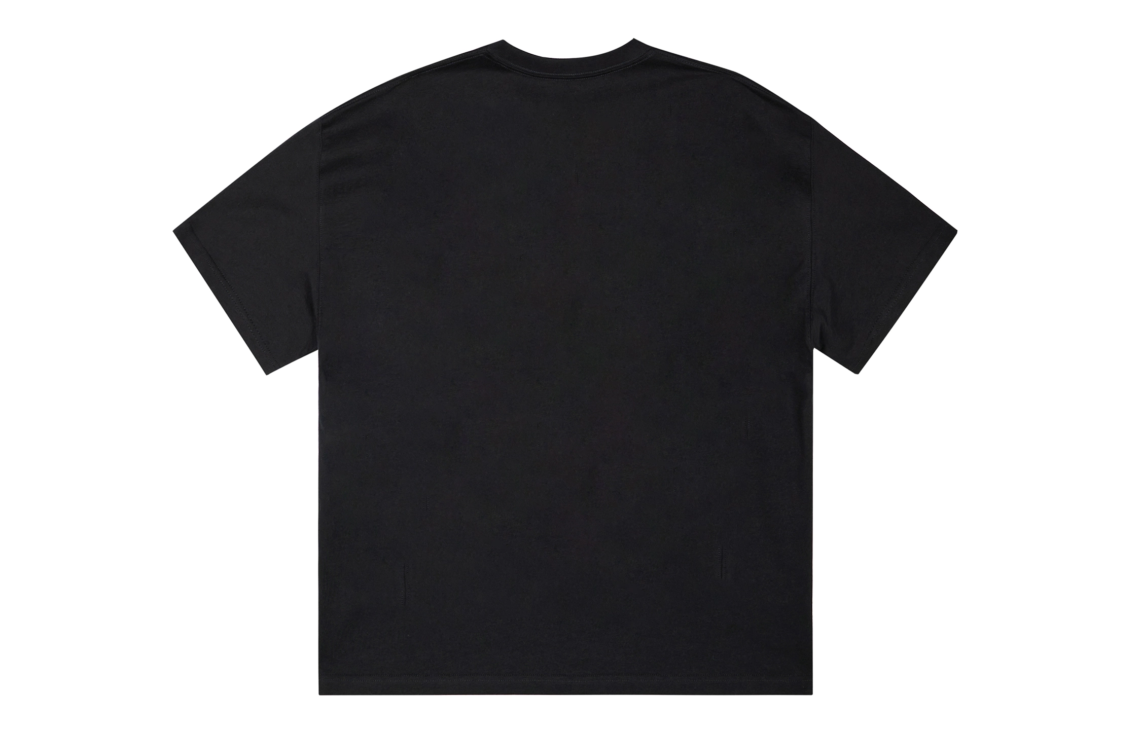 ICONS Lab ICS T