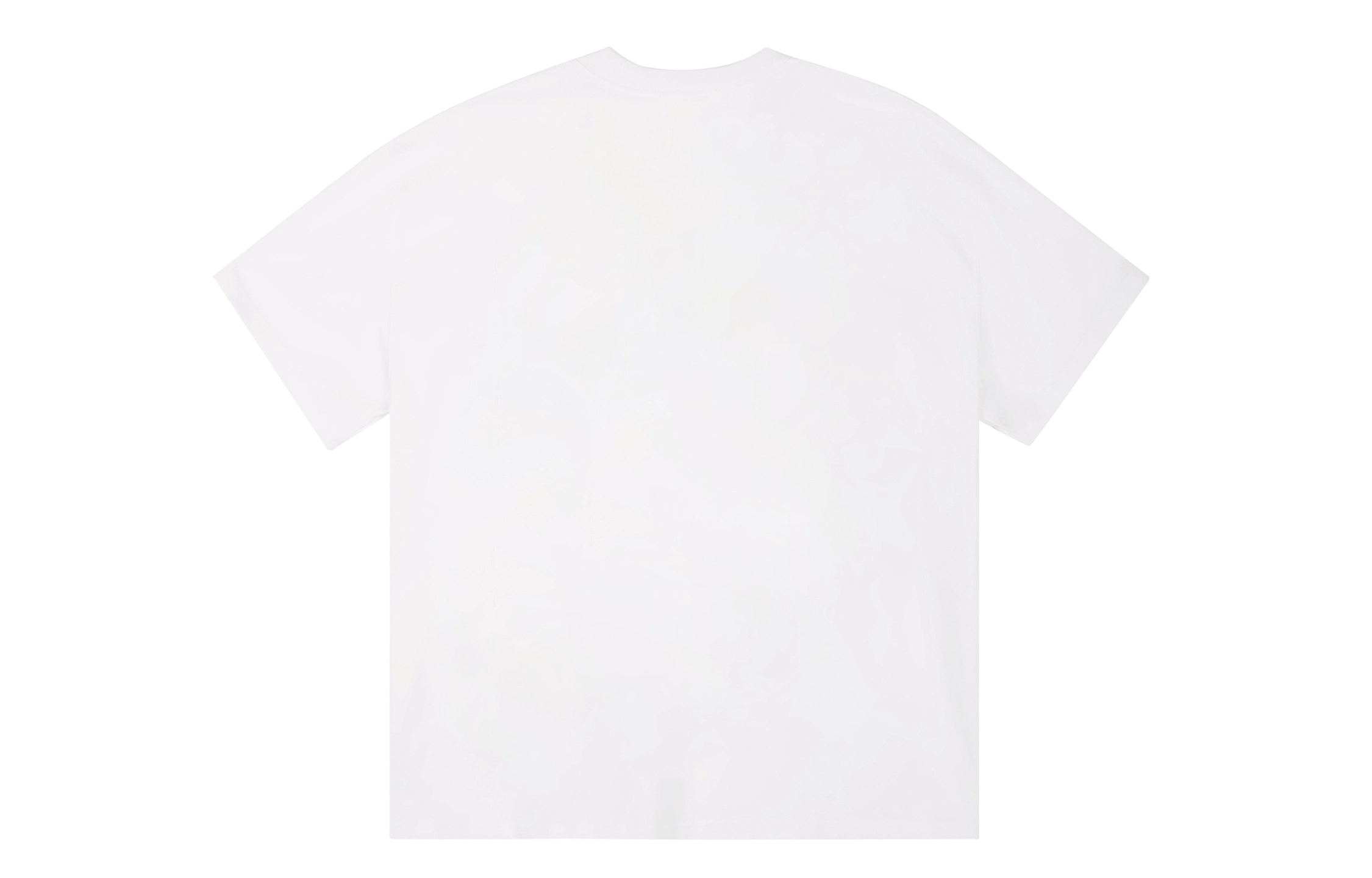 ICONS Lab ICS T