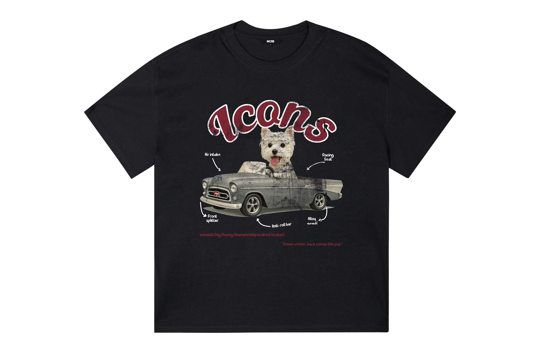 ICONS Lab ICS T
