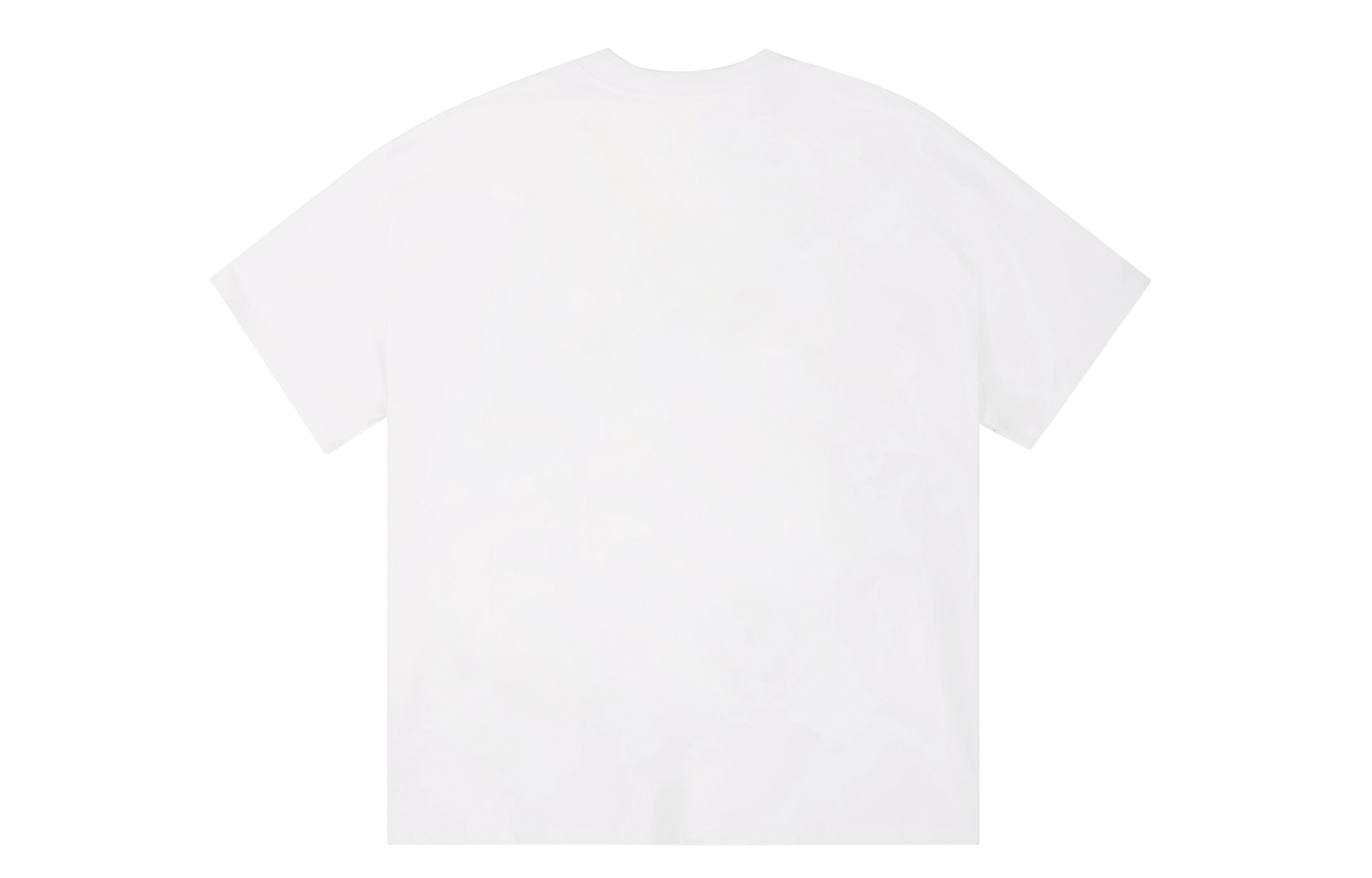 ICONS Lab ICS T