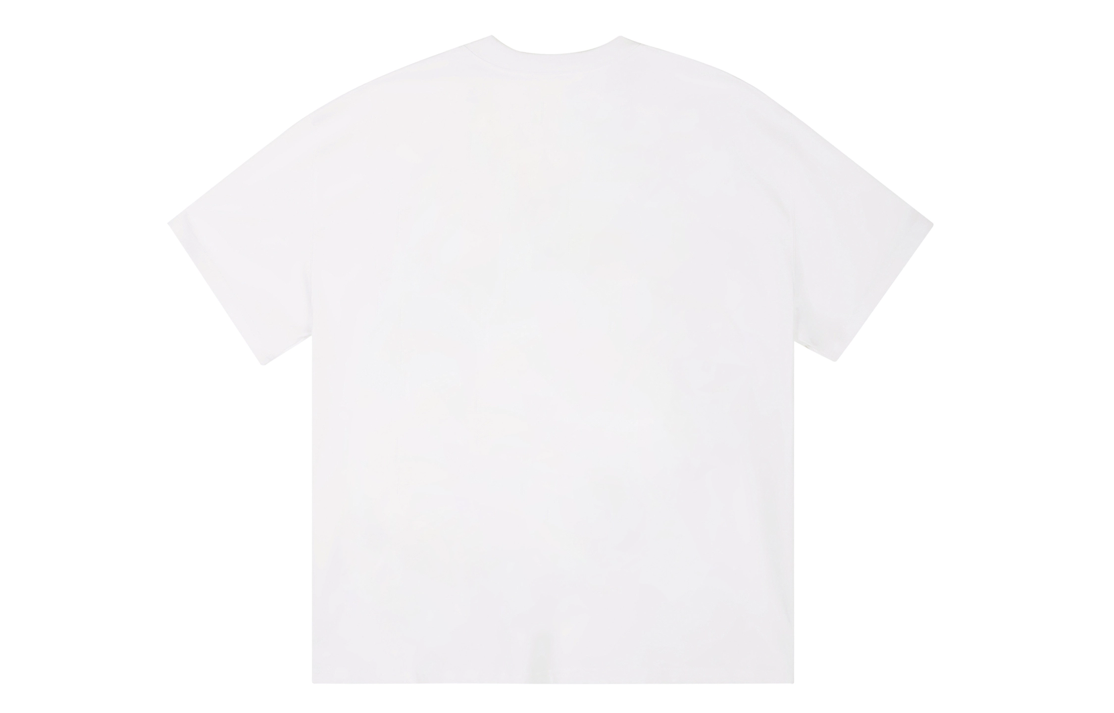 ICONS Lab ICS T