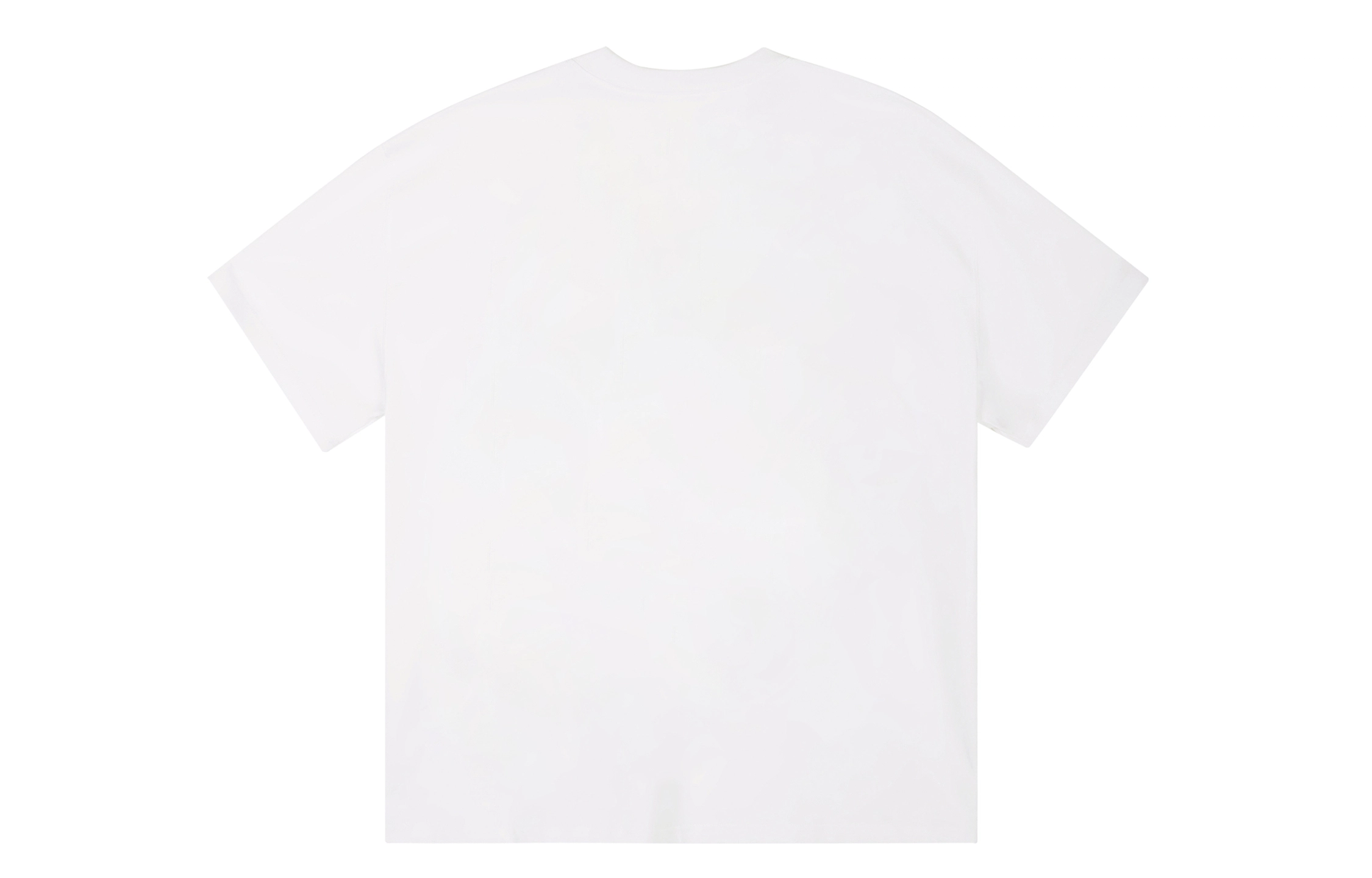 ICONS Lab ICS T