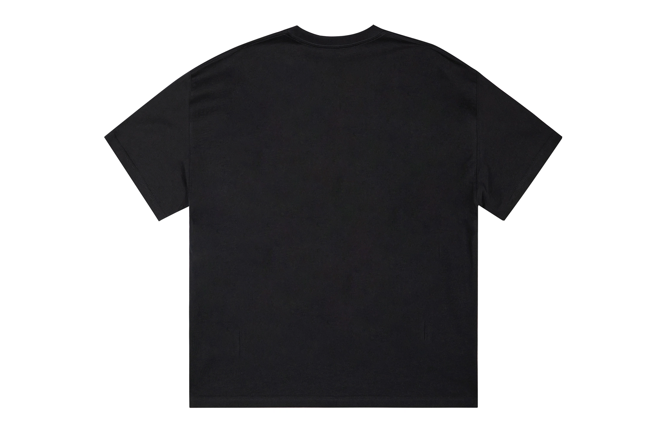 ICONS Lab ICS T