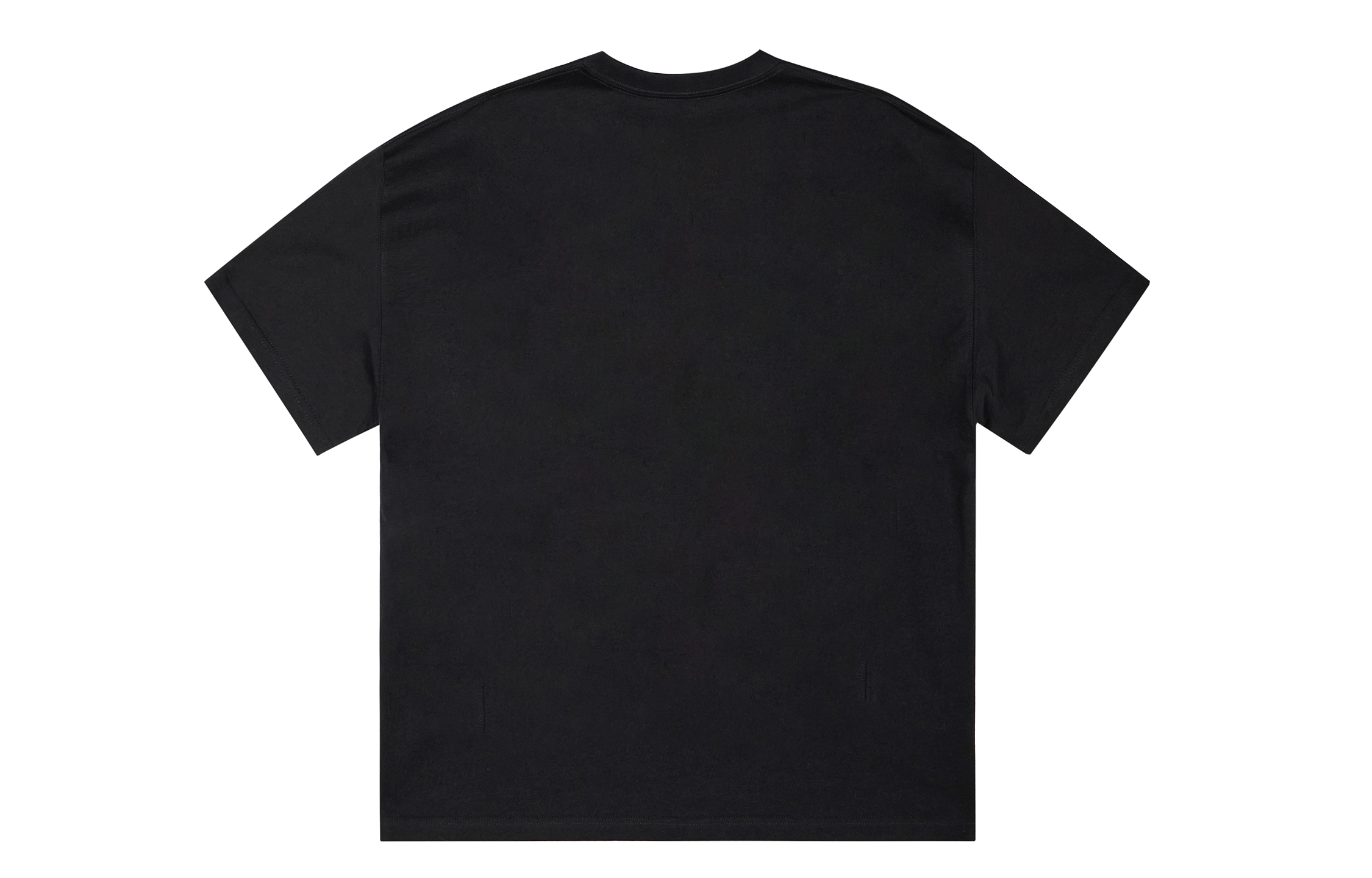 ICONS Lab ICS T