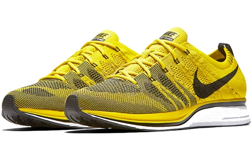 Nike Flyknit Trainer