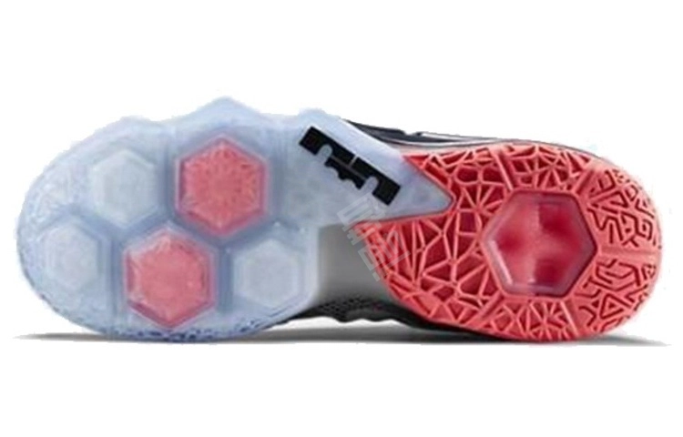 Nike Lebron 12 low Earned