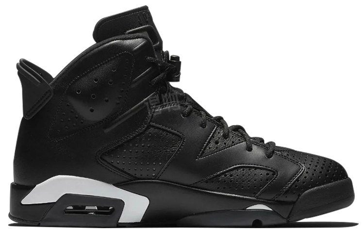 Jordan Air Jordan 6 retro "black cat"