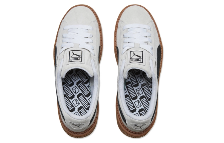 PUMA Platform Trace