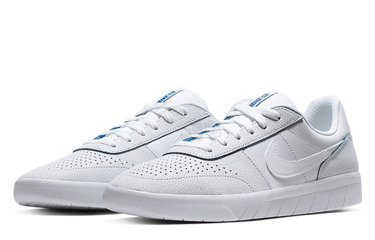 Nike SB Team Classic Premium