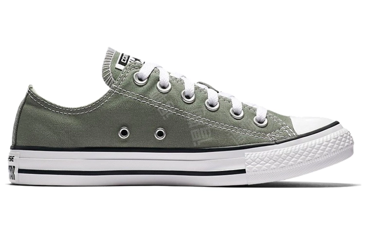 Converse Chuck Taylor All Star Seasonal Color Low Top