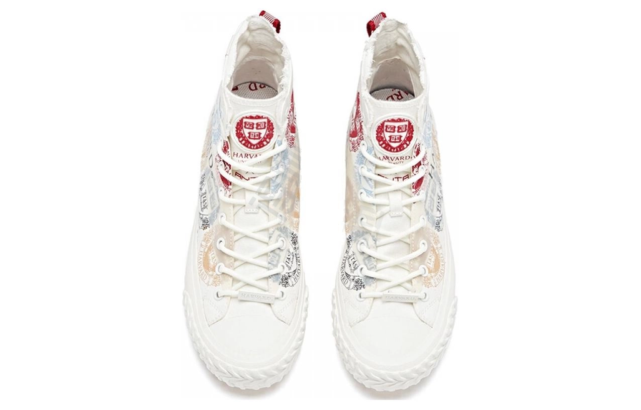 Anta
