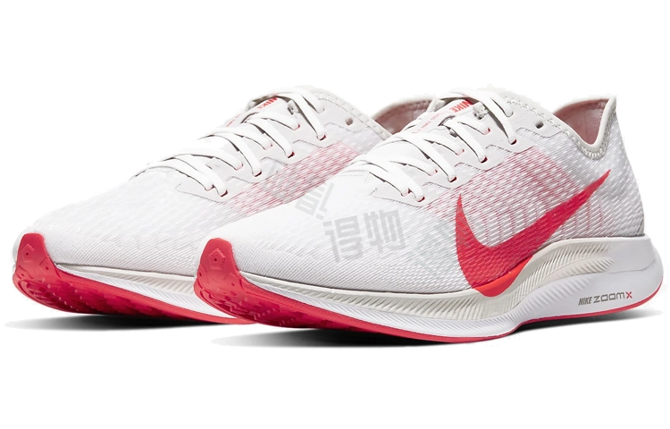 Nike Pegasus turbo 2