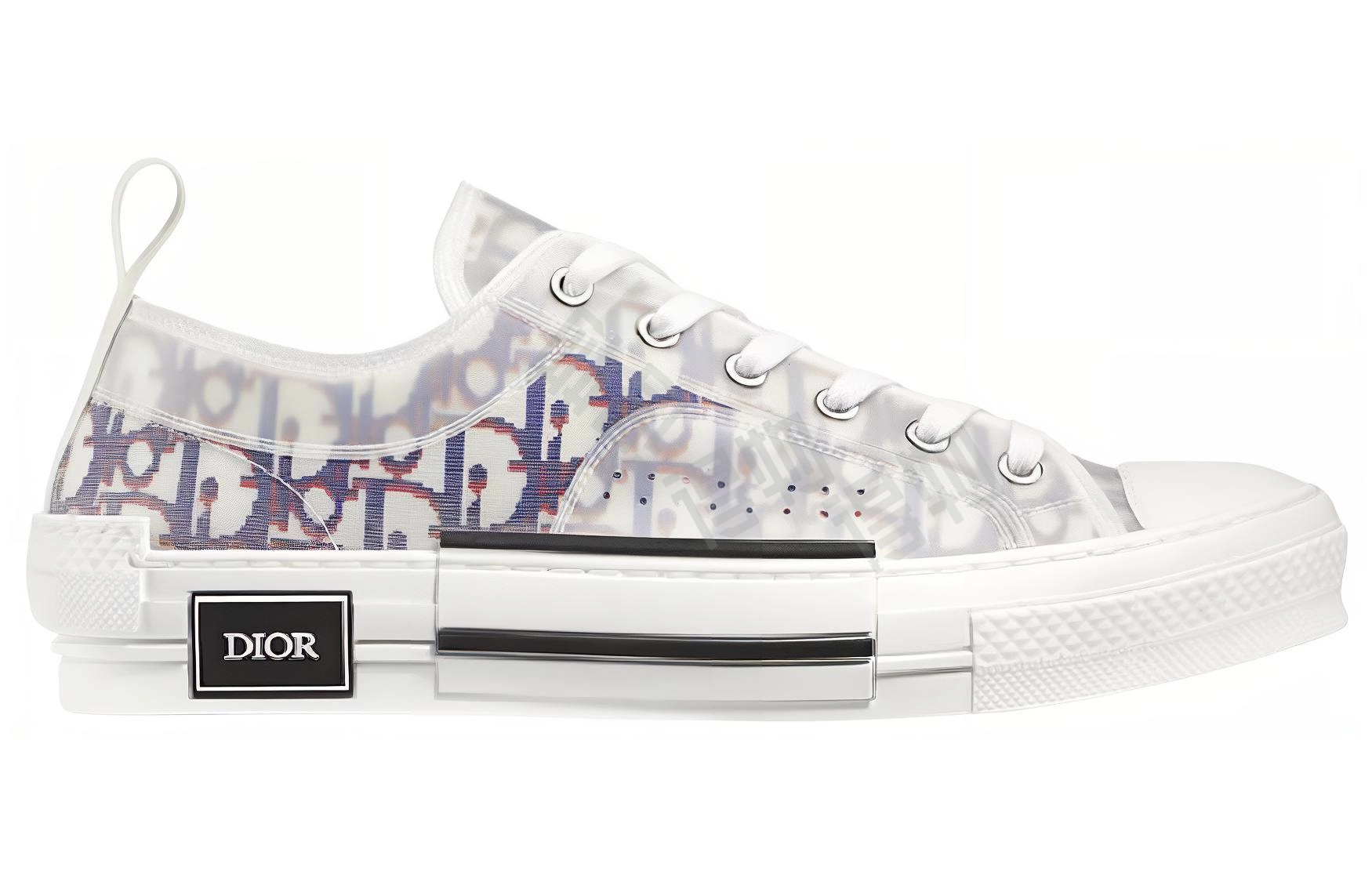 DIOR B23 Oblique