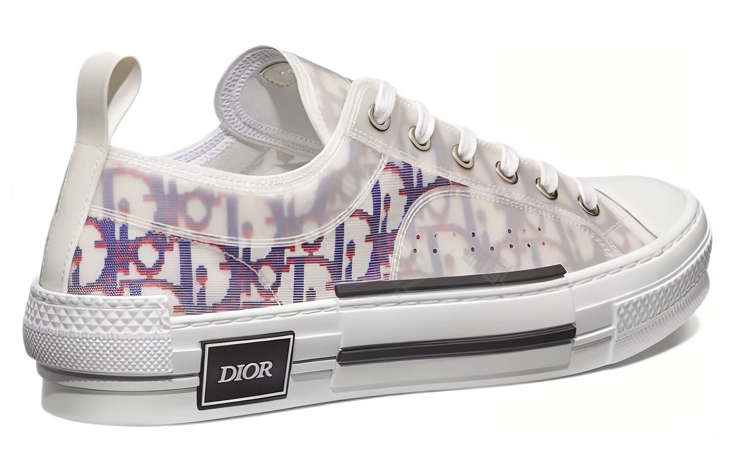 DIOR B23 Oblique
