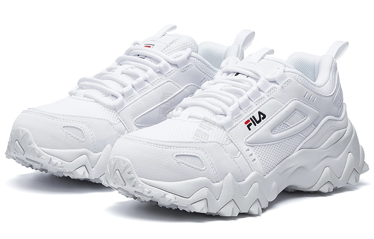 FILA Fellow